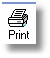 Print icon